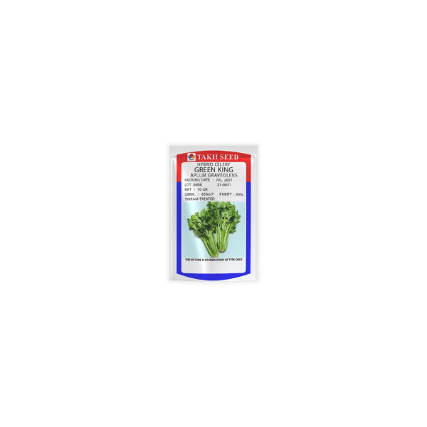 Hybrid Celery Green King