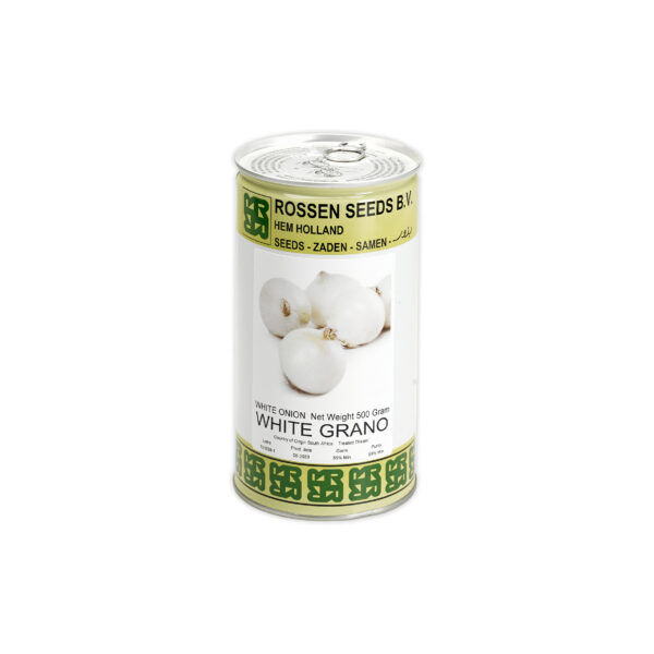 White Onion White Grano