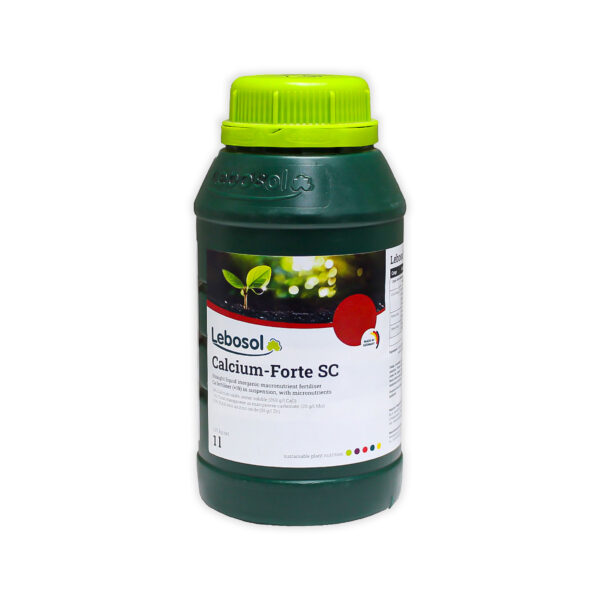 Calcium - Forte SC