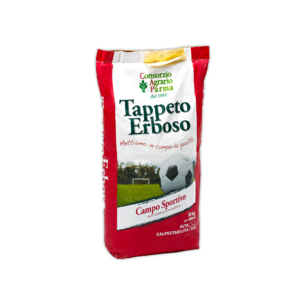 Tappeto Erboso Festuca Arundinacea Grass